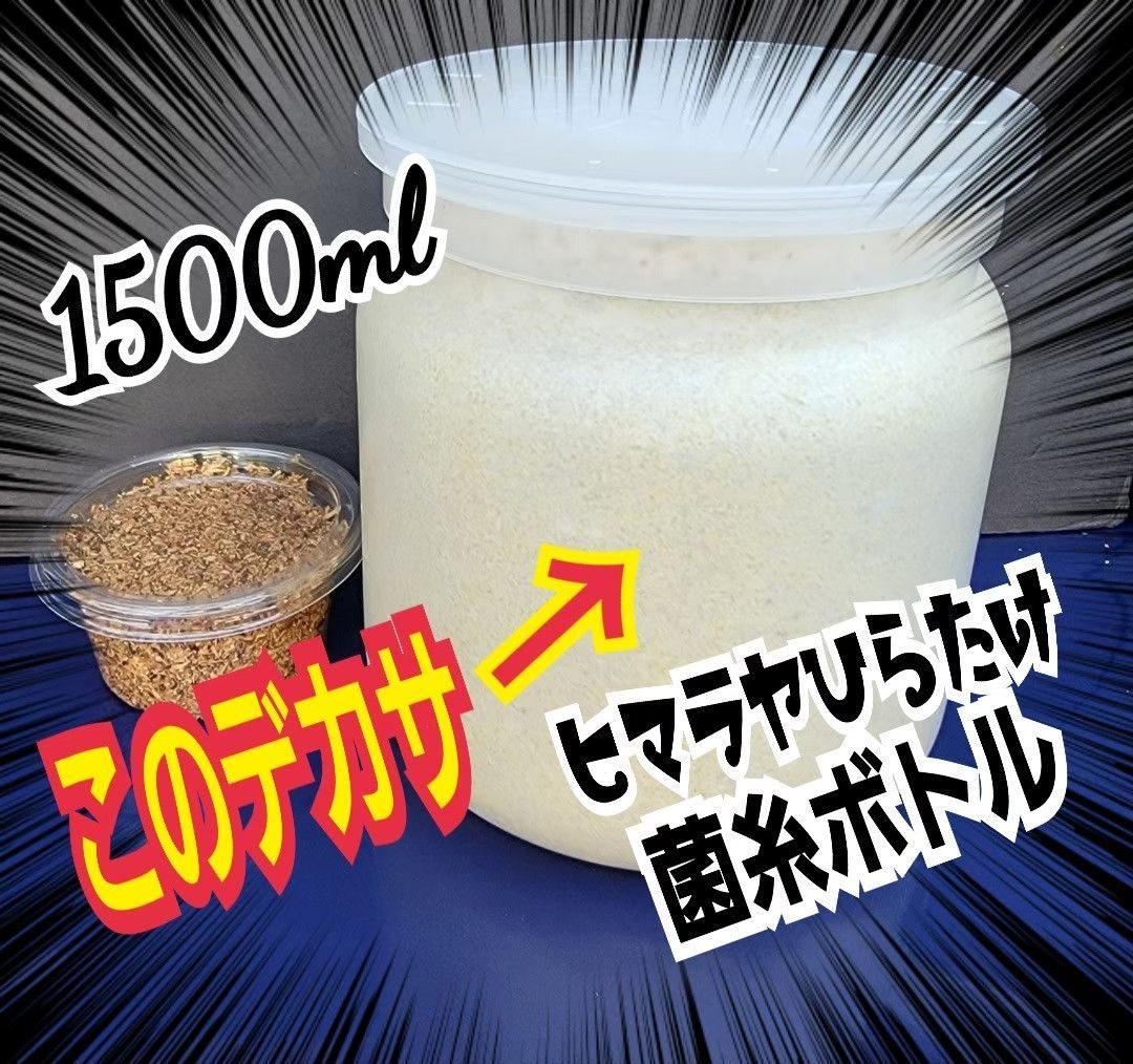 WISH-K 800cc 菌糸ビン| 栄養価抜群のくぬぎ100％オオヒラタケ商品