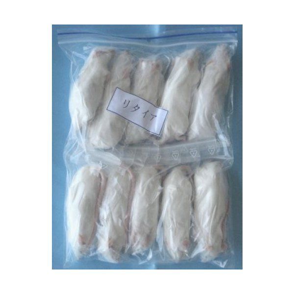 冷凍マウス リタイア 40匹 リタイアマウス | ネズミ屋さん