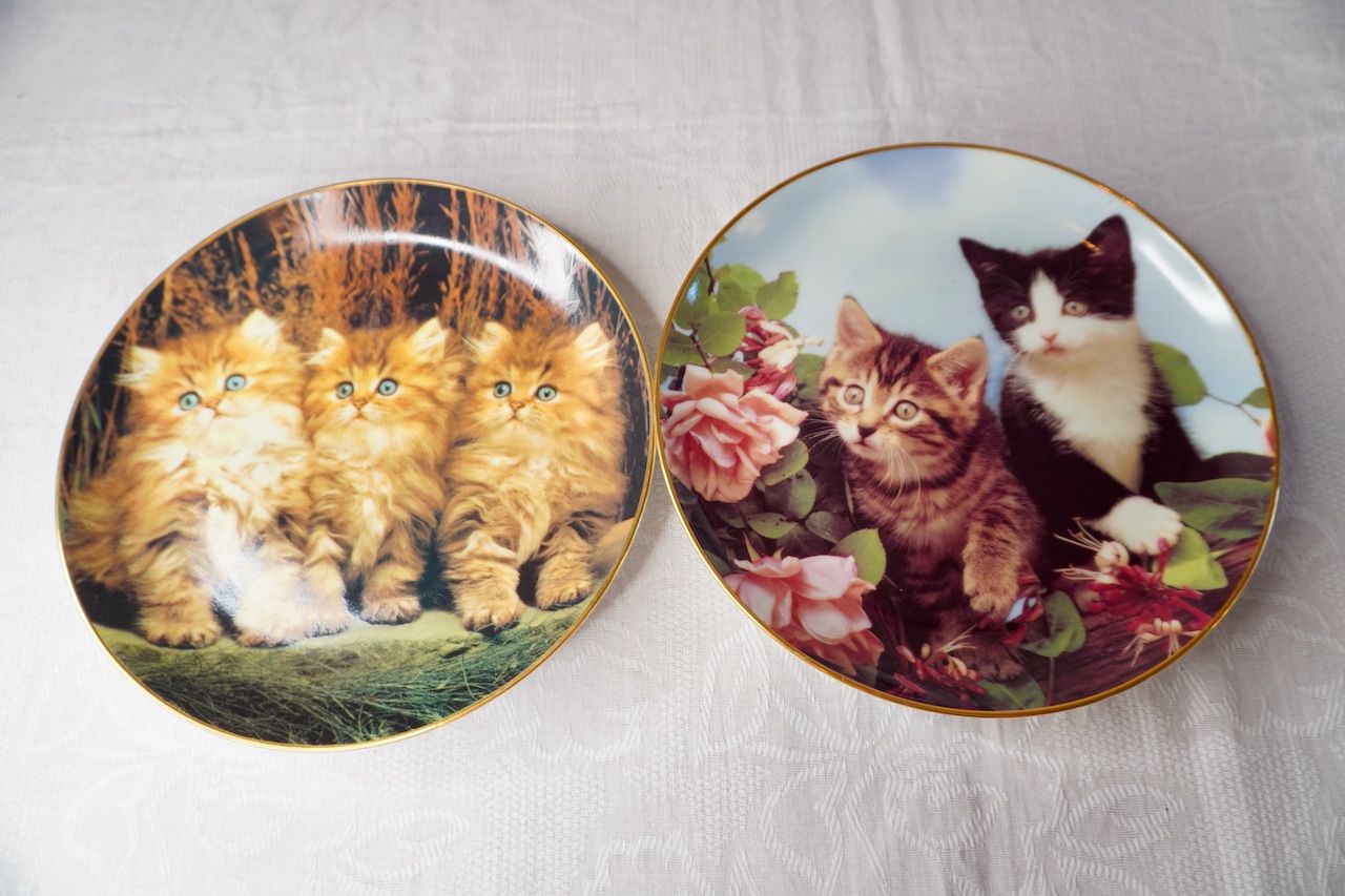 イギリス ヴィンテージ 猫 絵皿 2枚セット 販売 コレクションプレート