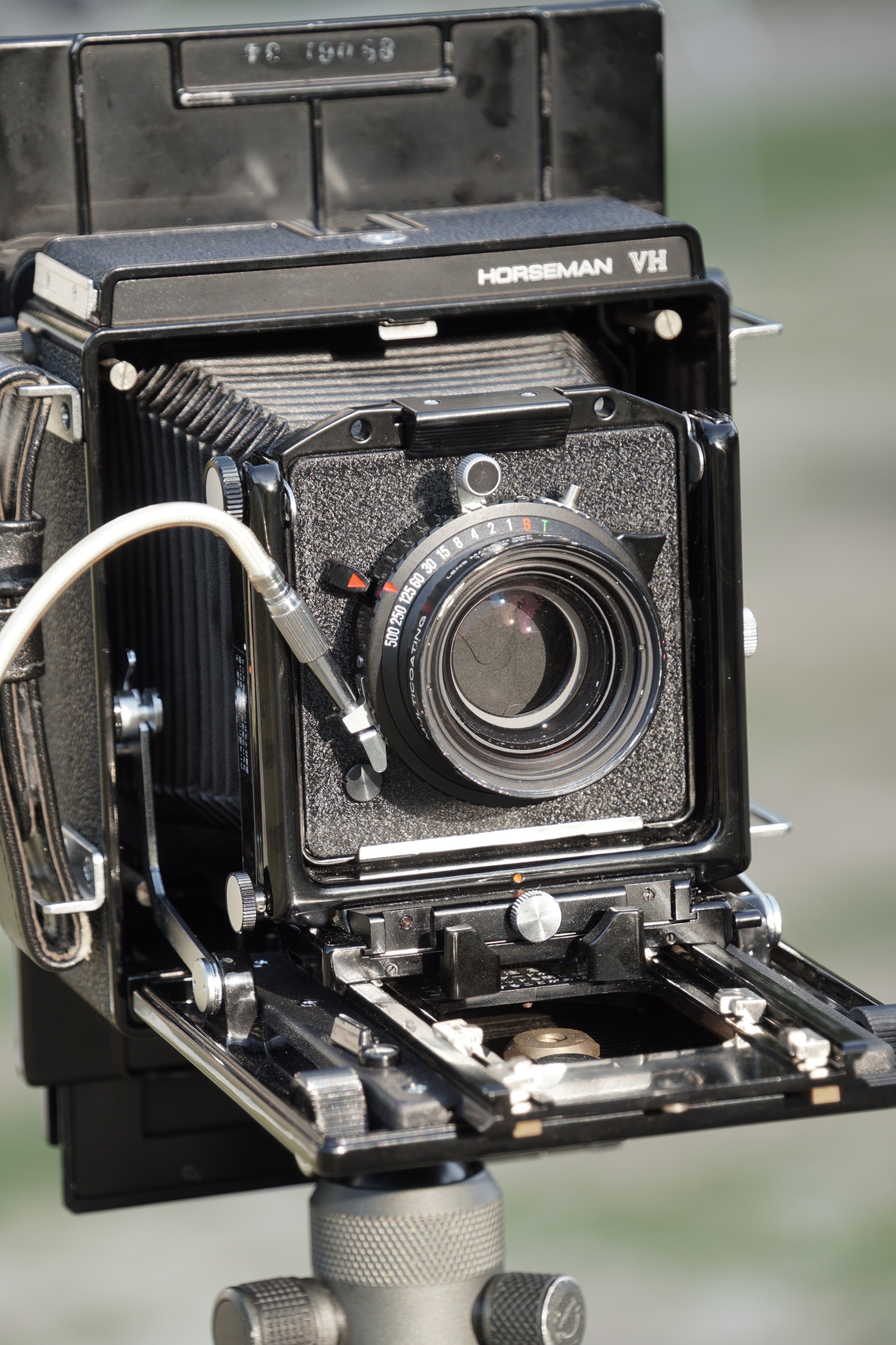 40年前のフィルムカメラ｜松千代