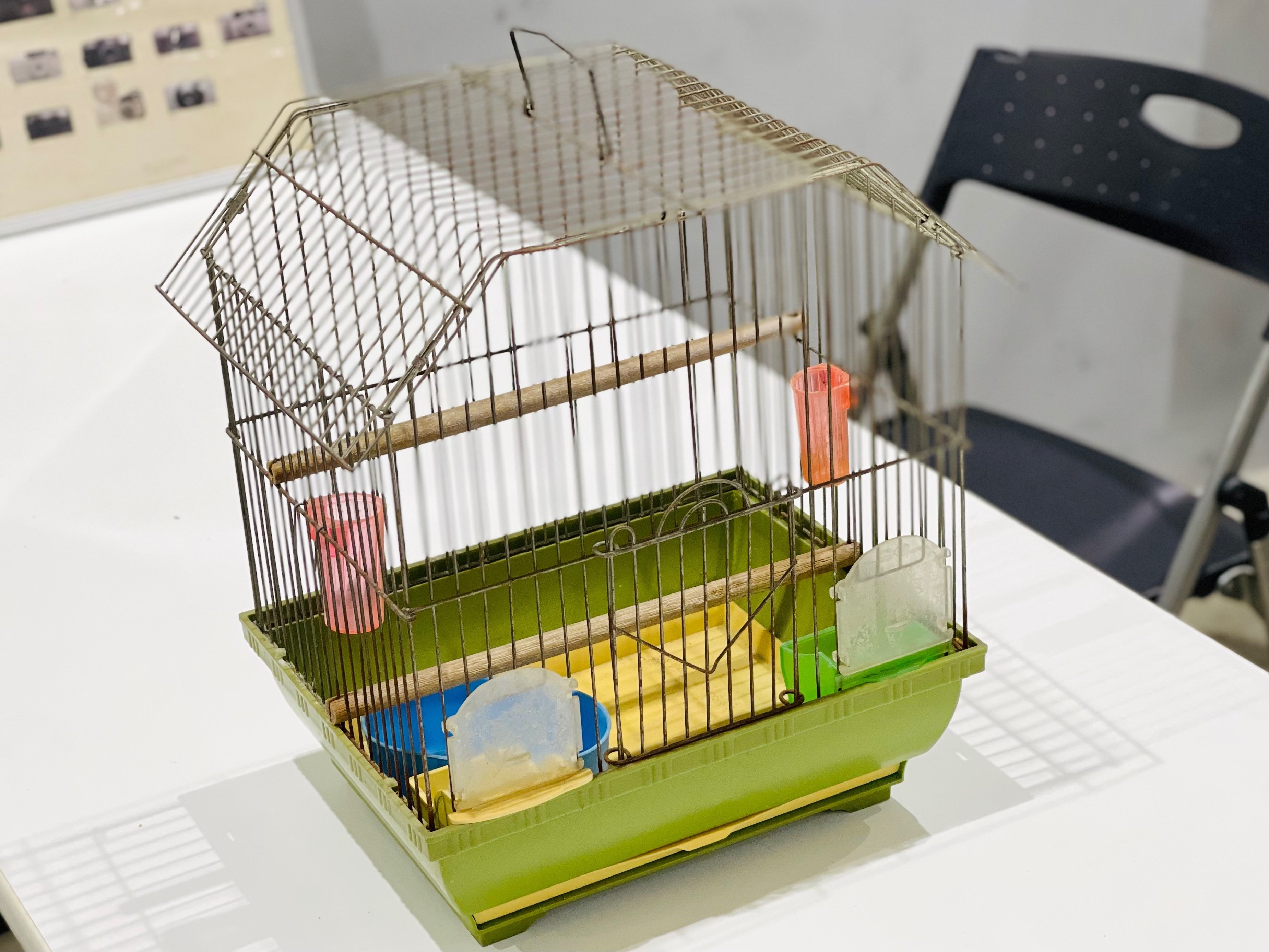 骨董市で鳥籠を買った話｜中村ナツ子