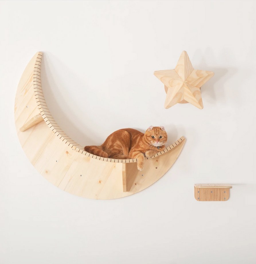 まるで宇宙船！？猫ちゃんのためのおしゃれな木製ベッド 〈 MYZOO