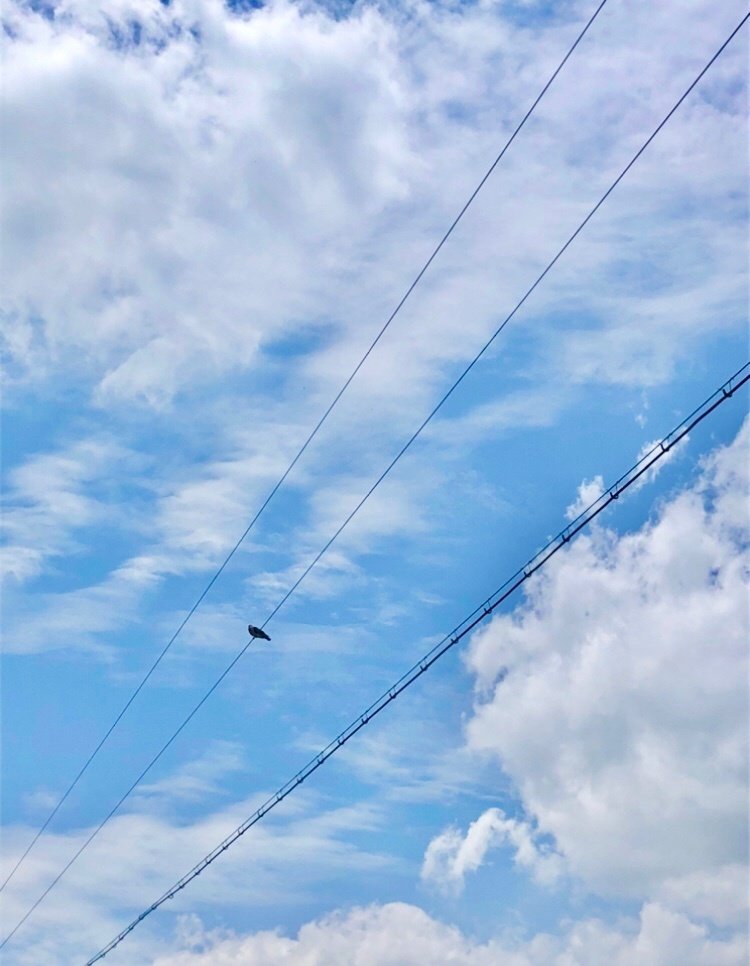 雨上がりの空に思うこと｜sane