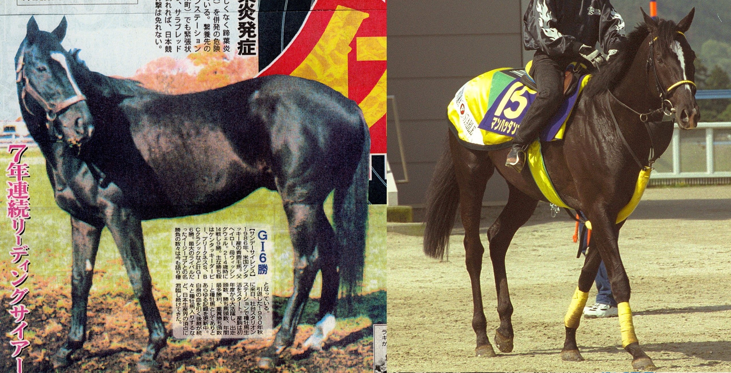 現地単勝マンハッタンカフェ 天皇賞春2002年100円 蛯名 マンハッタン