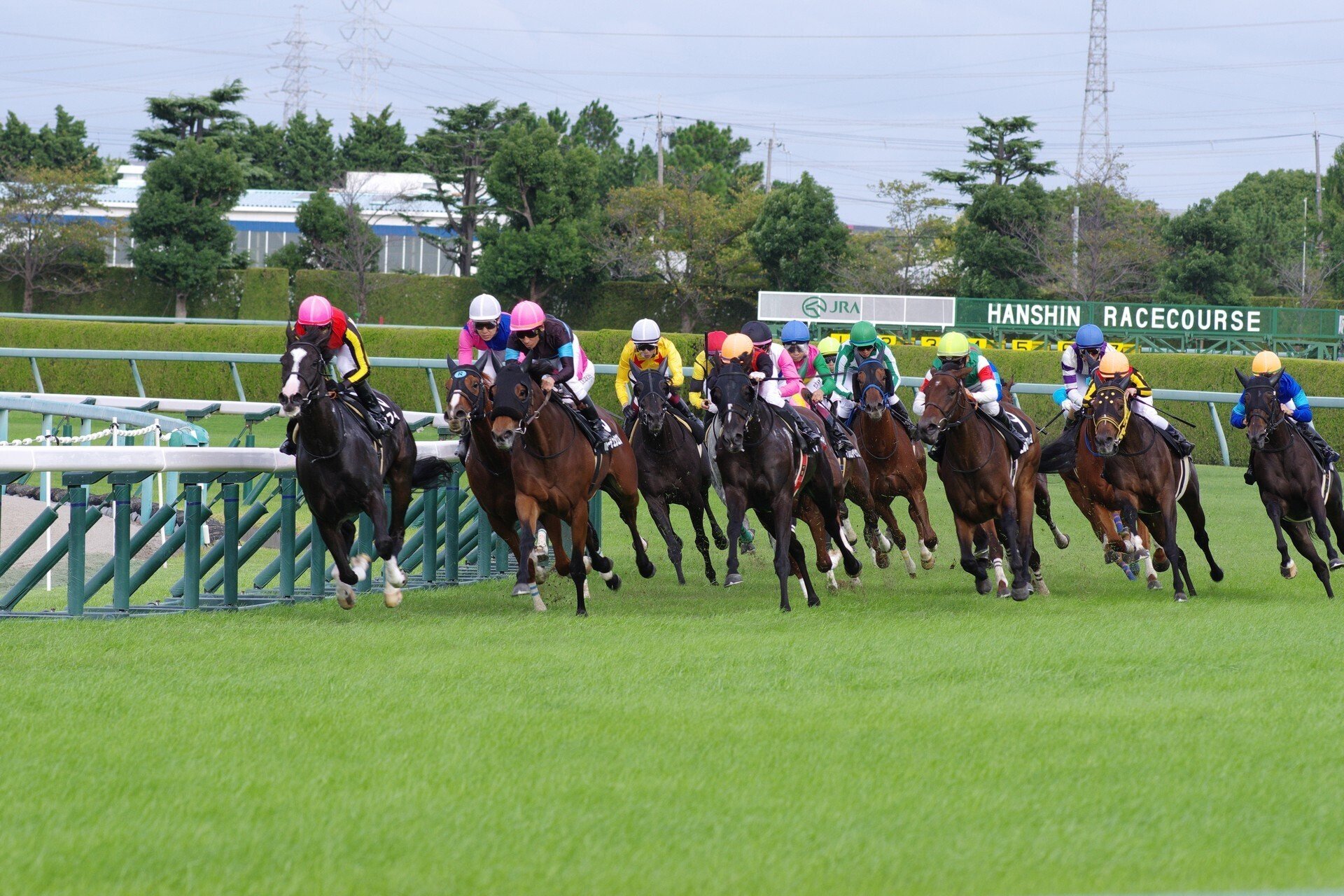 華やかなりし阪神競馬 (K-70 / smc PENTAX-DA☆200mmF2.8)｜夢望庵