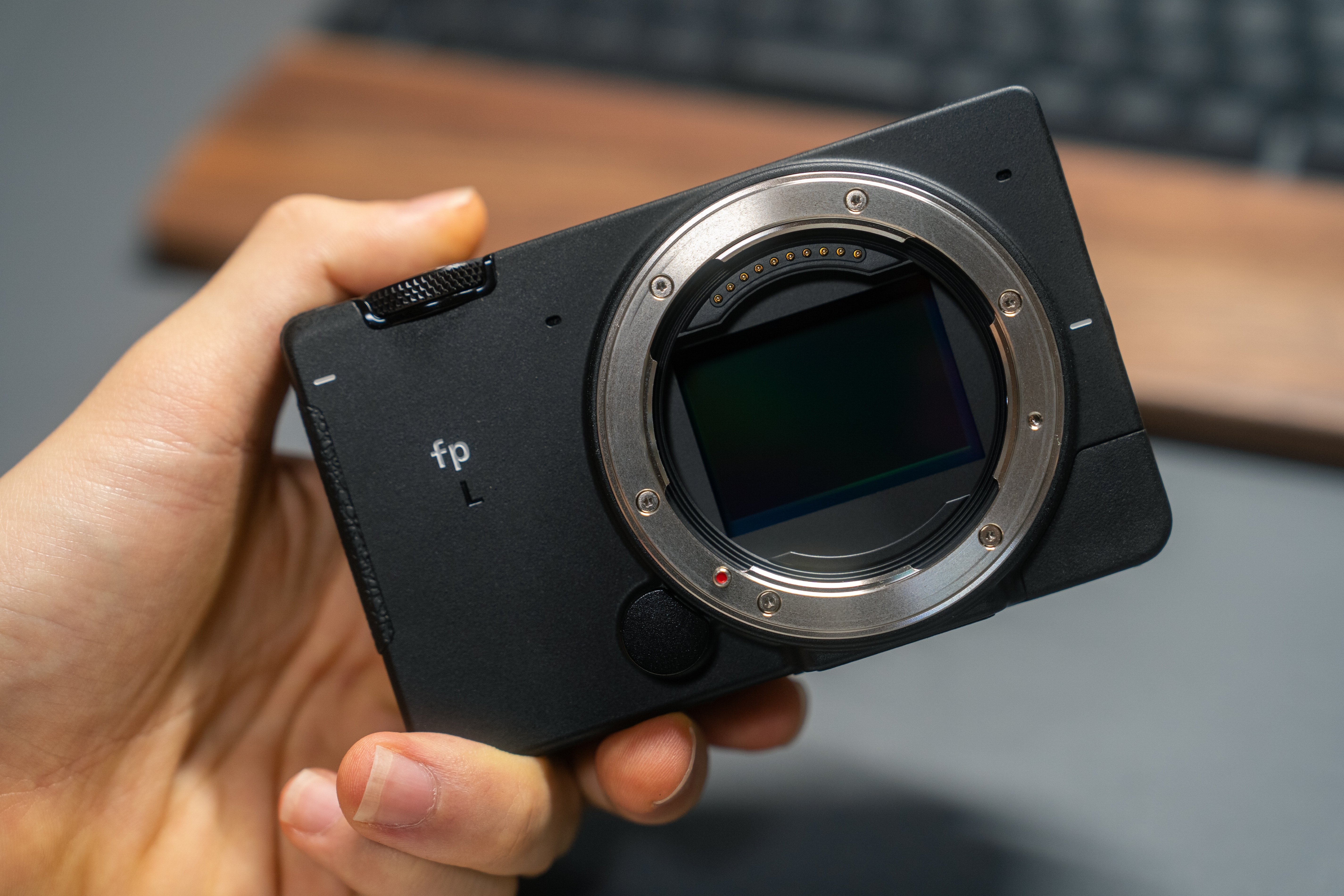 ポケットに6100万画素。SIGMA fp L レビュー｜最高に癖のあるカメラ