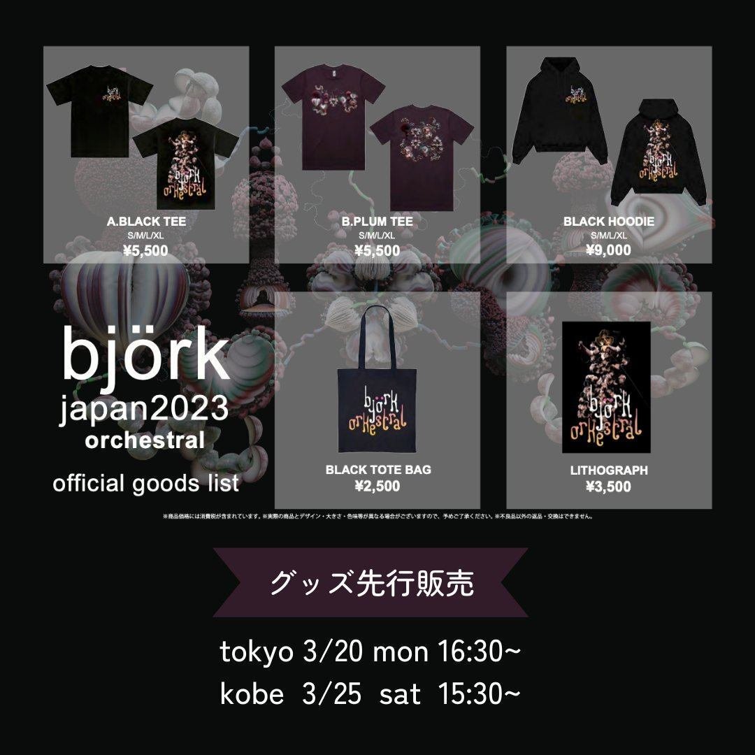 björk japan 2023 orchestral @ 神戸ワールド記念ホール｜そらかな