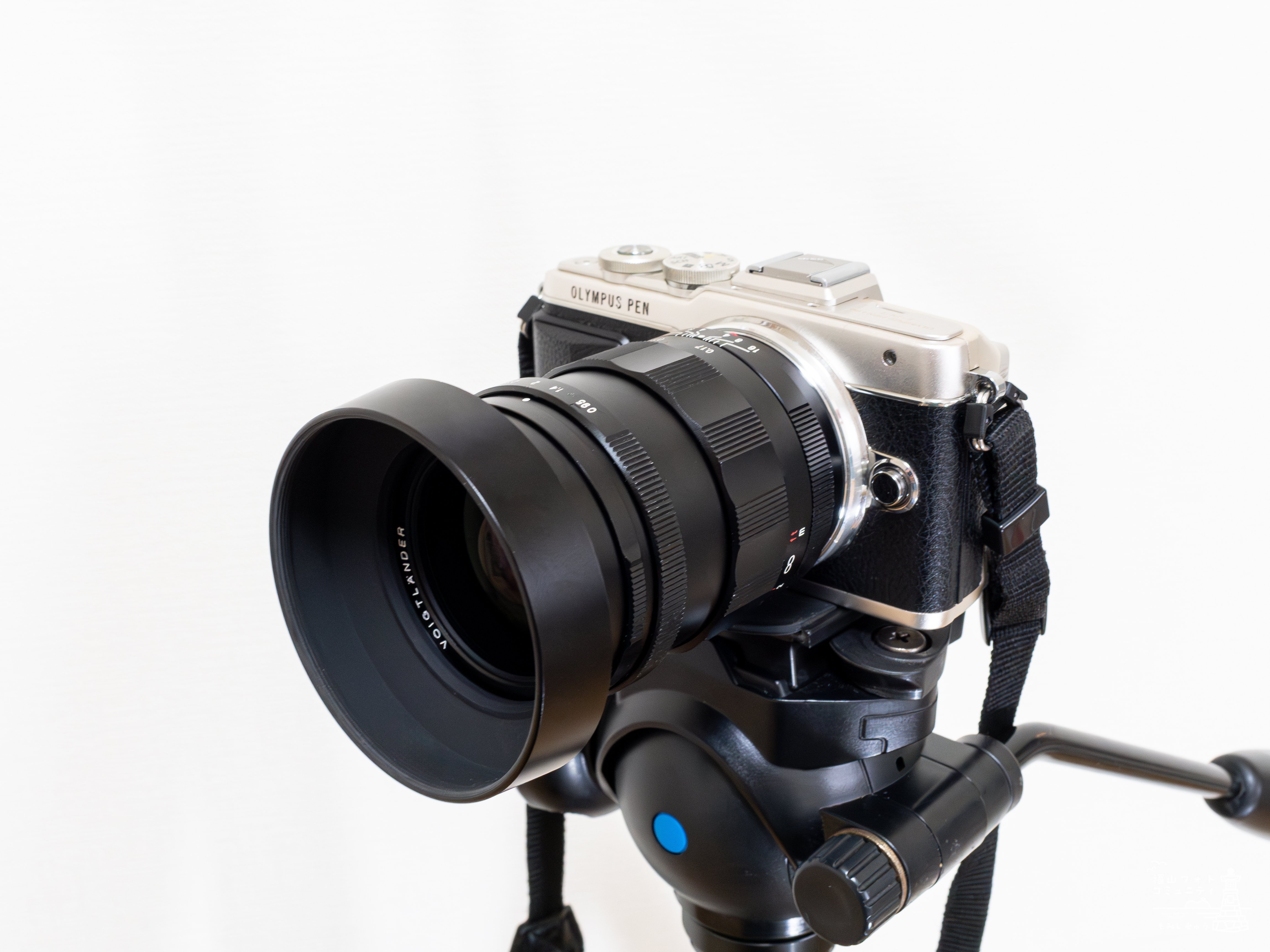 フォクトレンダー NOKTON 25mm F0.95 TYPE IIを買ったお話 / マイクロ