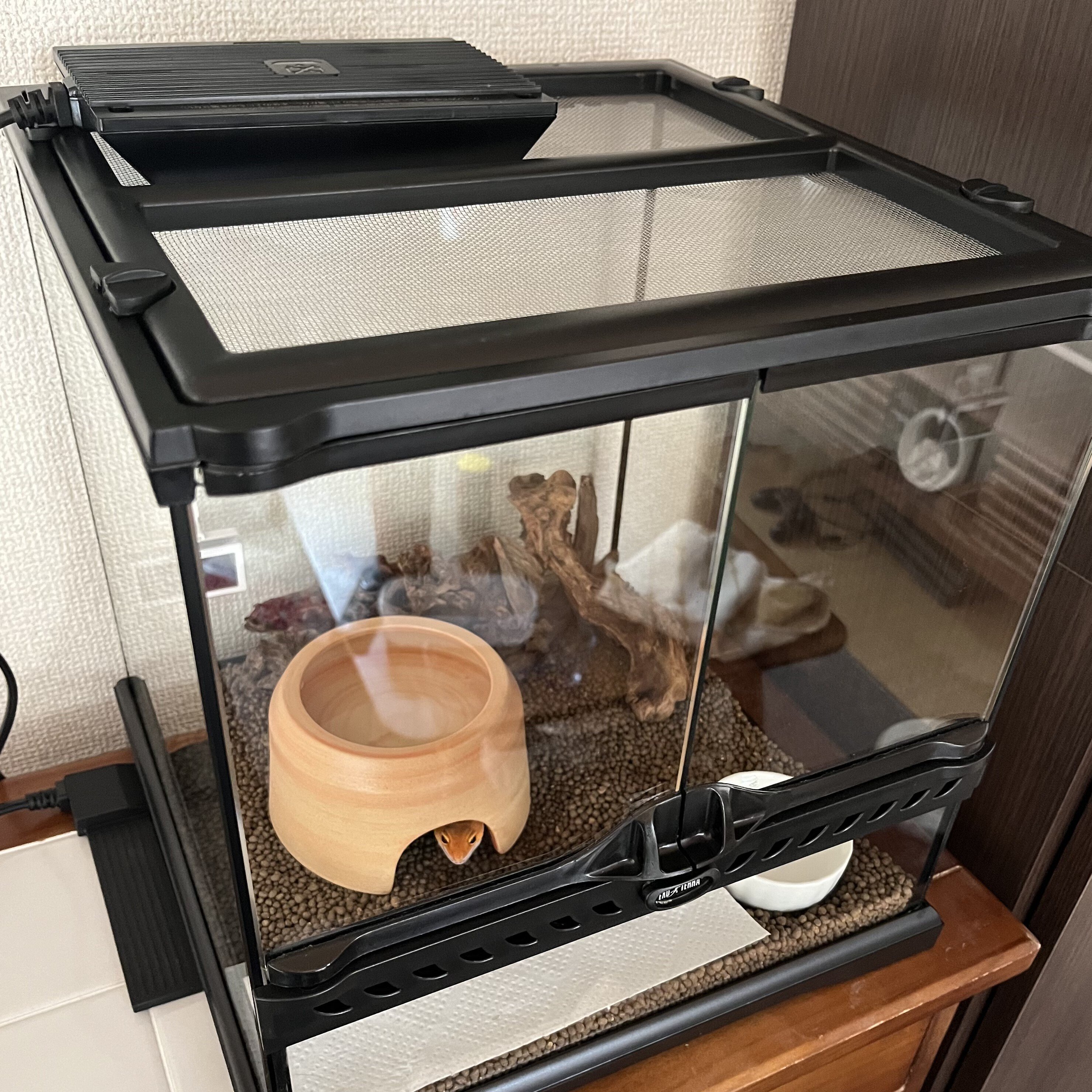 ヨツギ【30×25×30オーダーケージ】 ヨツギ【30×25×30オーダーケージ