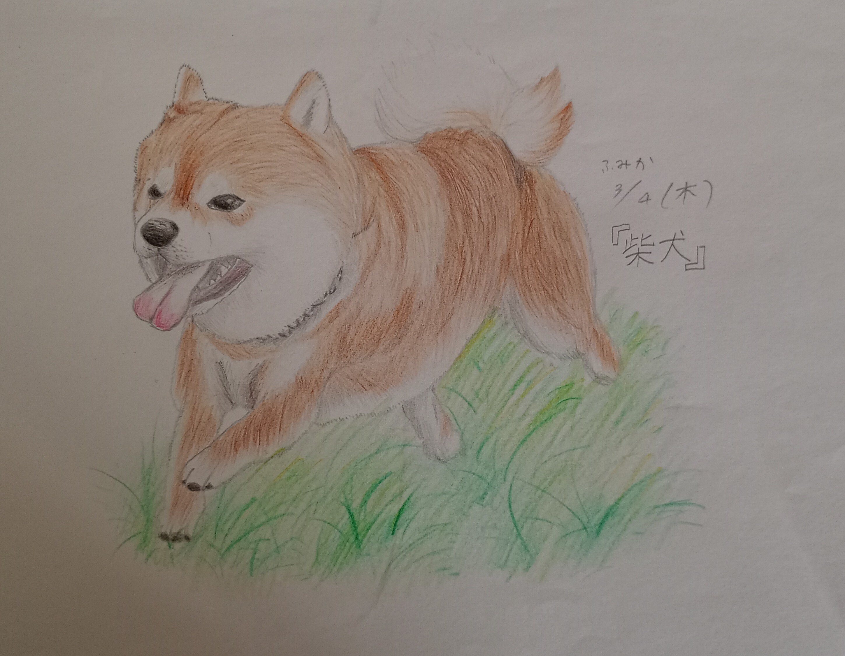 もふもふ特等席 色鉛筆画 もふもふ特等席 色鉛筆画
