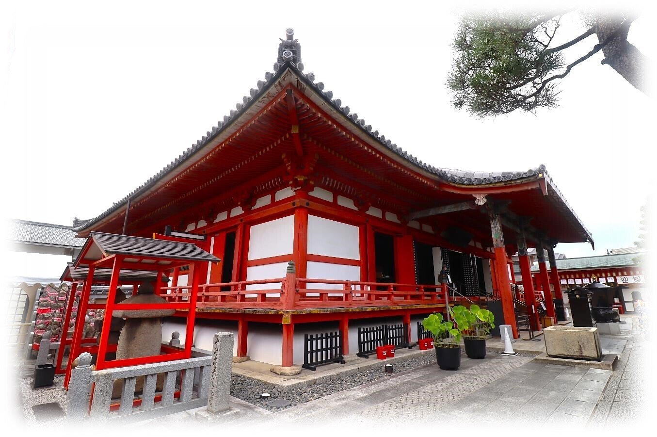 SP/サイン/6226-S/傍若無人な六波羅幕府堀越公方 足利 茶々丸 3枚