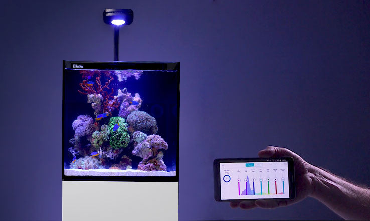Red Sea Max Nano Reef System – Aqua Dreams