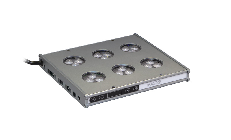 レブロン|ZOOX｜MMC企画 レッドシー事業部