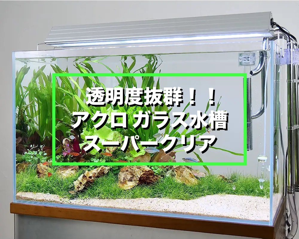 ADA キューブガーデン 45cmガラス水槽 ADA ガラス水槽 長方形 高透明