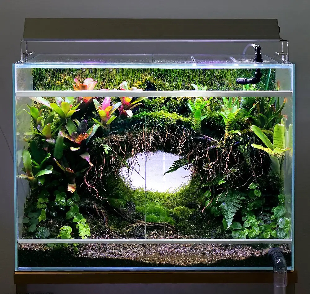 ADA キューブガーデン 60㎝水槽&アクアリウム用品2点 【公式通販】