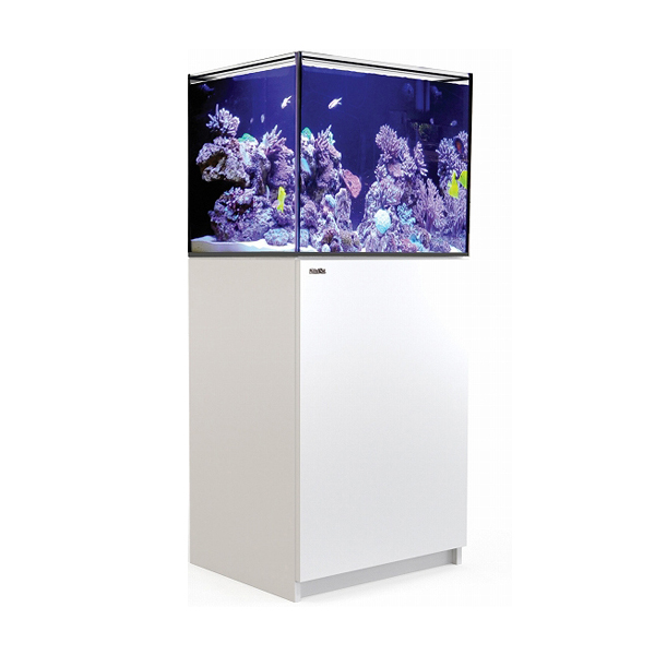 REEFER 170（リーファー170）オーバーフロー水槽の通販 | 海水魚がいる