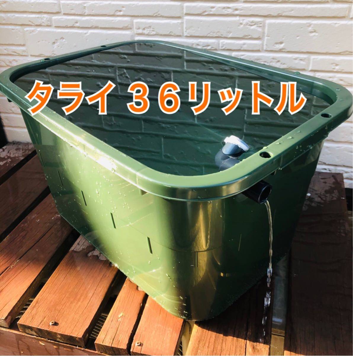 メダカ飼育ケース 36リットル メダカ飼育ケース 36㍑x5個（4色あり