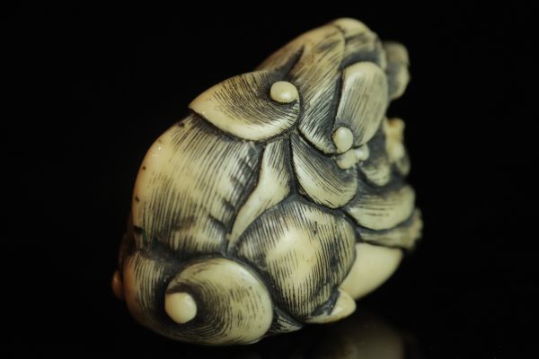 NOV007 牙彫根付 玉獅子根付 無銘 根付コレクション NETSUKE 提げ物
