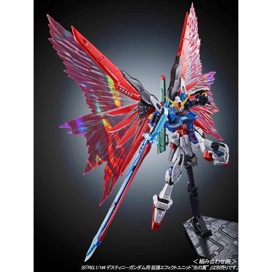 RG 1/144 デスティニーガンダム［チタニウムフィニッシュ］│株式