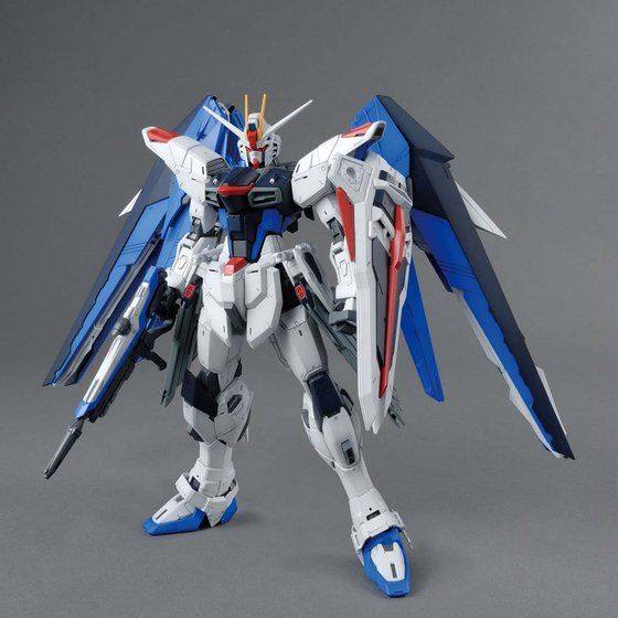 MG フリーダムガンダム 1/100 B賞 MG 1/100 フリーダムガンダム