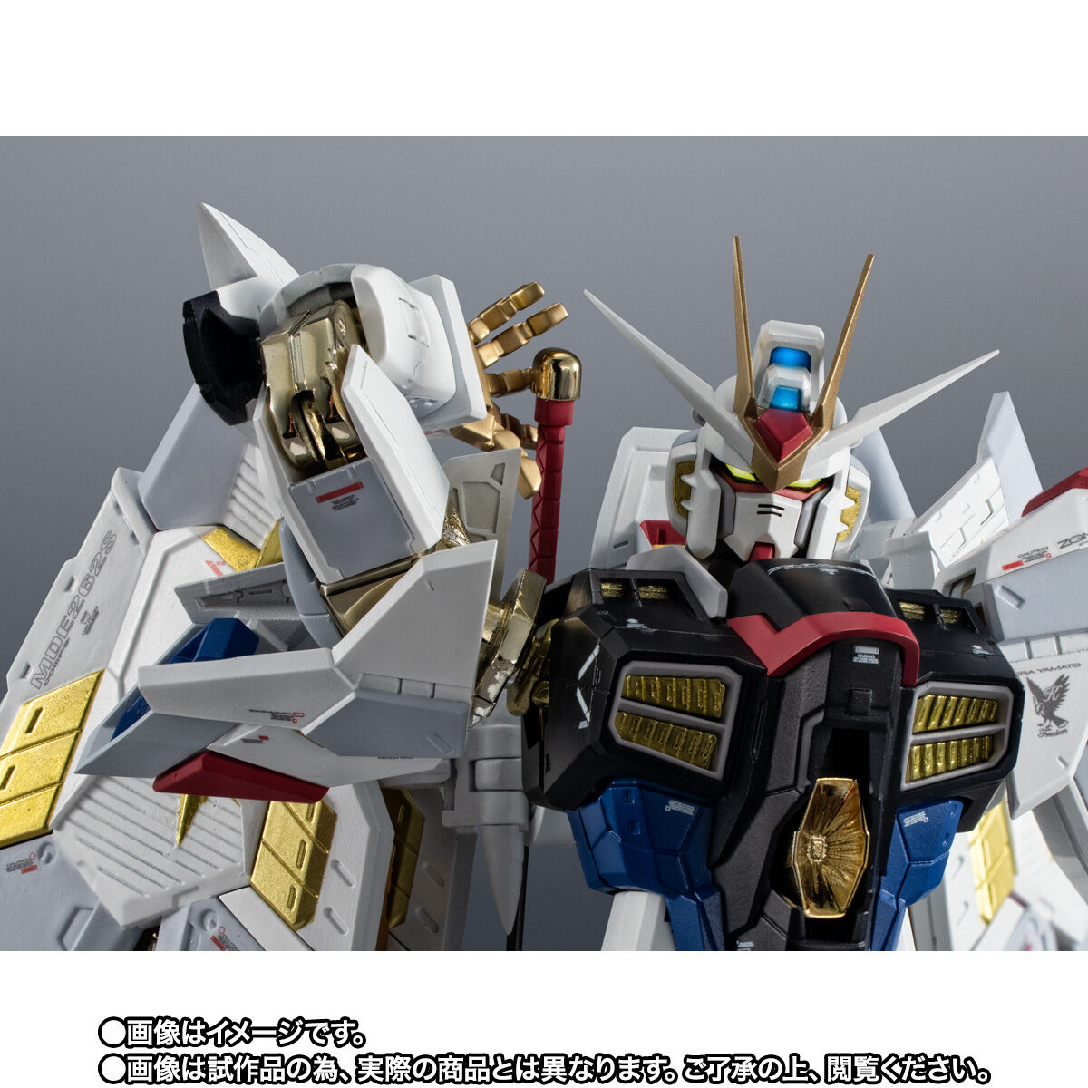 超合金 マイティーストライクフリーダムガンダム | 機動戦士ガンダム
