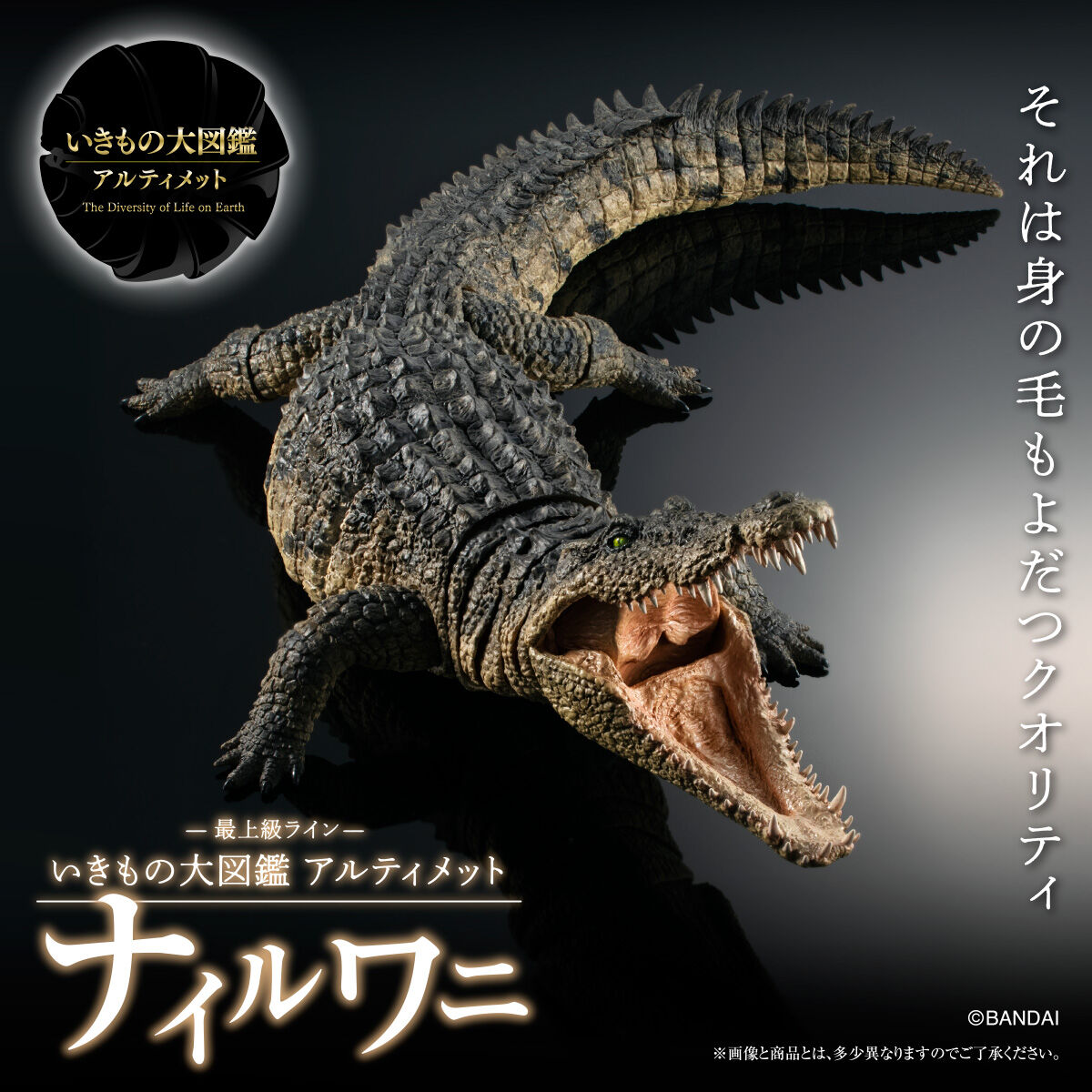 動物の惑星】☆ナイルワニ上海WF188体限定+オオアリクイ&シャチ