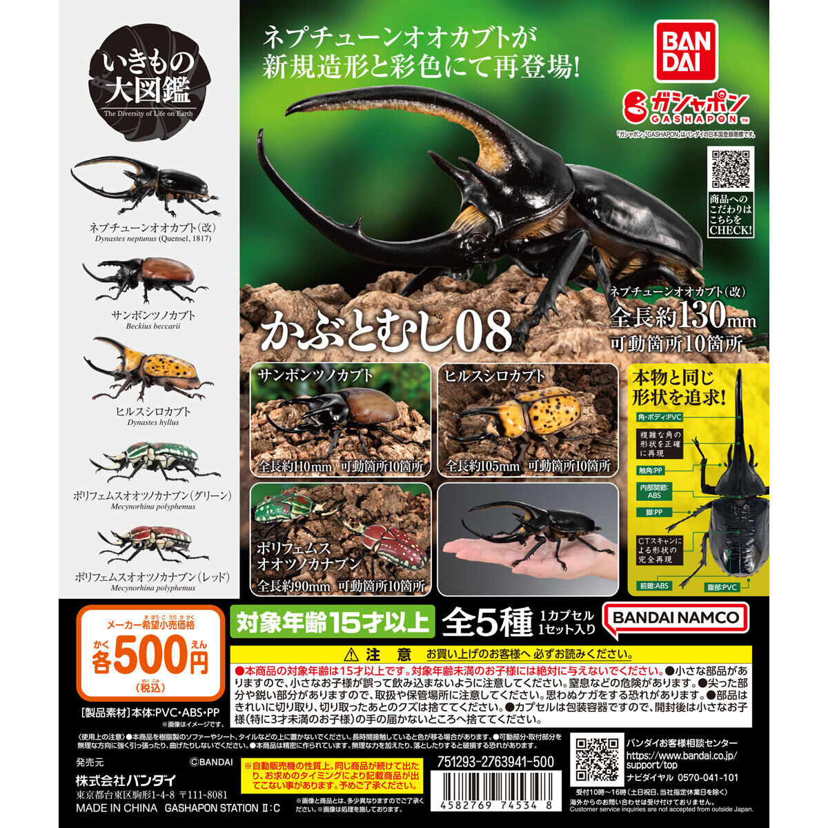 カブトムシ標本 4体セット カブトムシ標本 4体セット 初の企画 標本