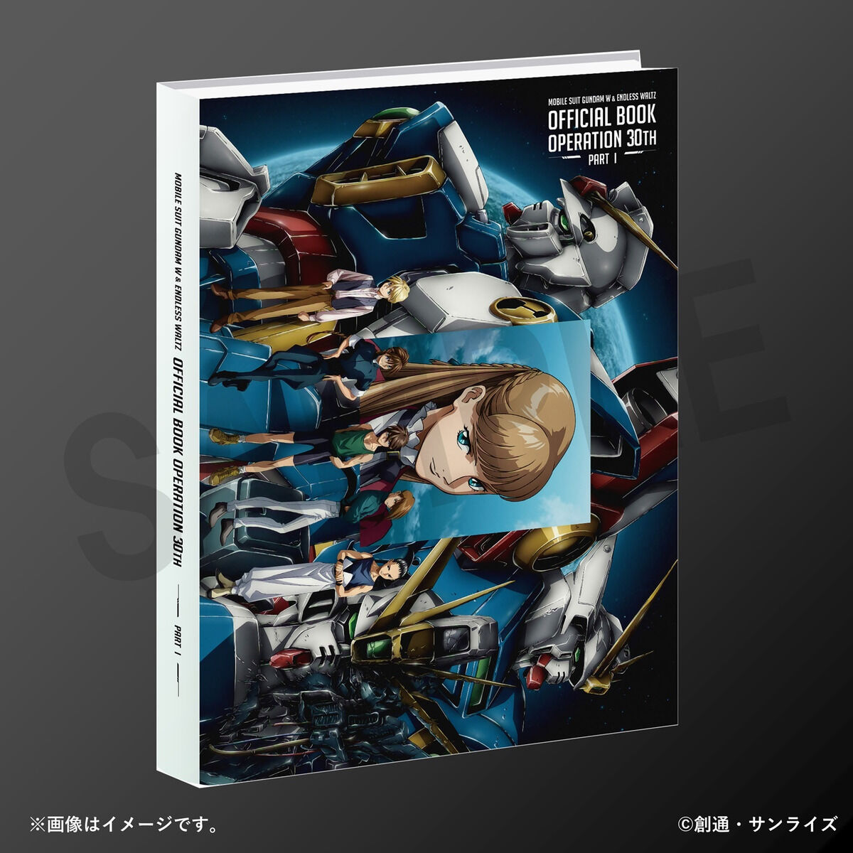 機動戦士ガンダム30周年記念 プレミアムプレート（ブラック） 機動戦士