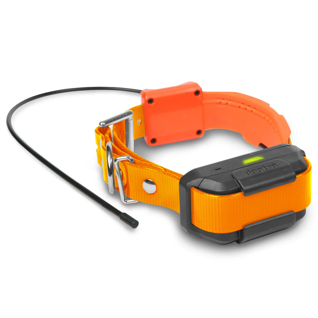 Dogtra Pathfinder Pet Collar Hunting Dog Tracking System DOGTRA