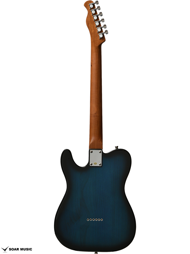 Bacchus BTE-350R テレキャスター BTE-TW NS (Bacchus / バッカス