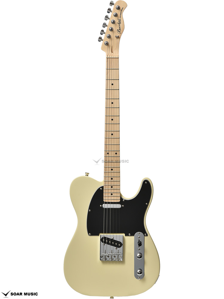 最終値下げ】バッカス テレキャスターモデル ユニバースシリーズ