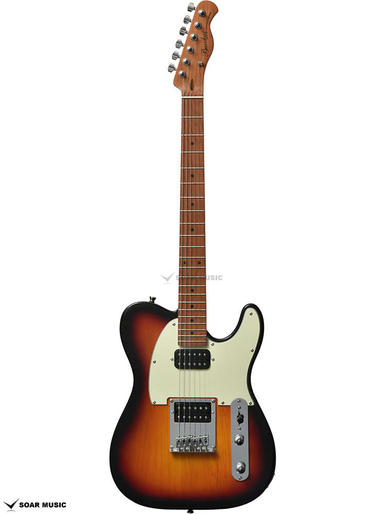 状態良好/人気カラー】Bacchus バッカス テレキャス レイクプラシッド