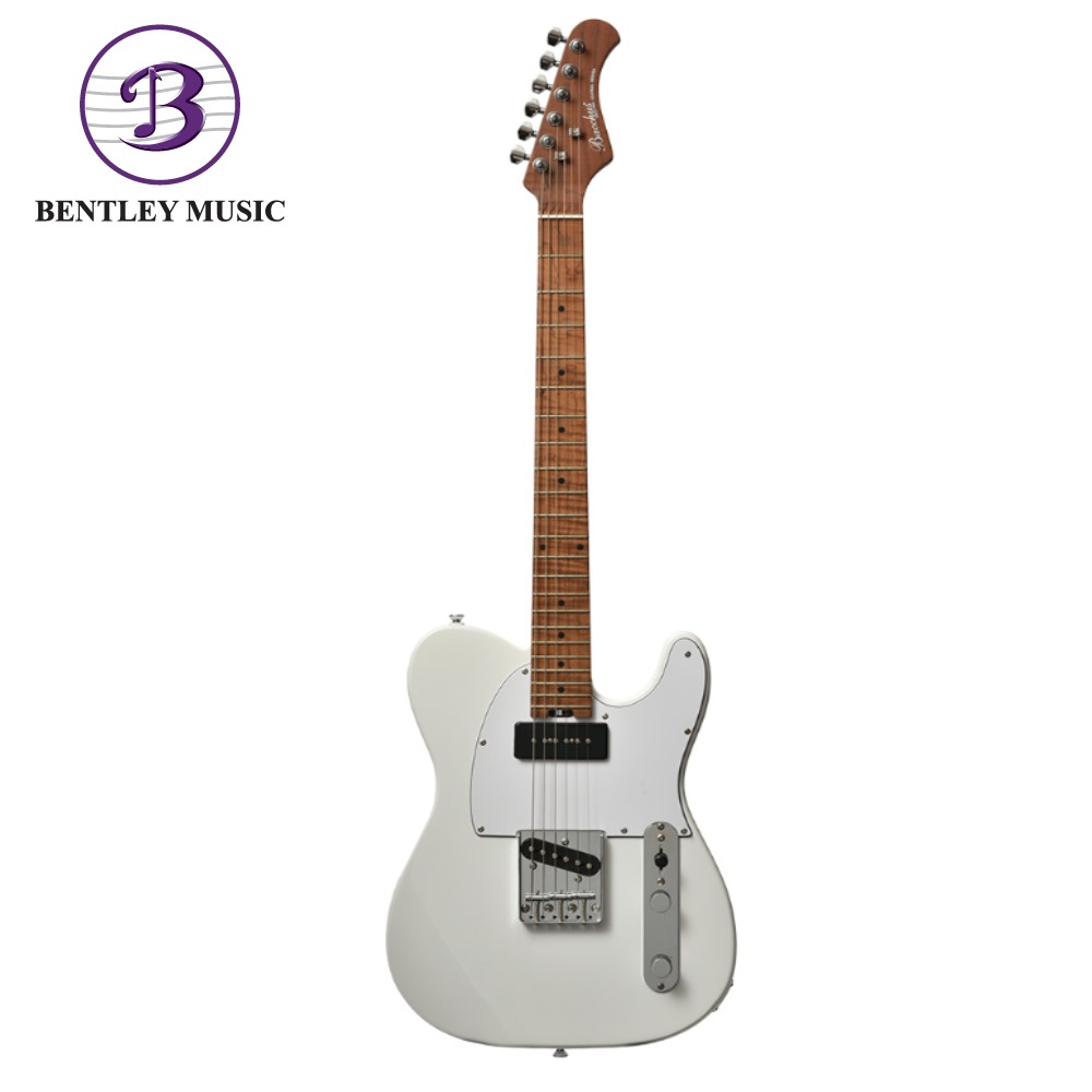ギター Bacchus Tactics-STD RSM 3TS Telecaster エレキギター