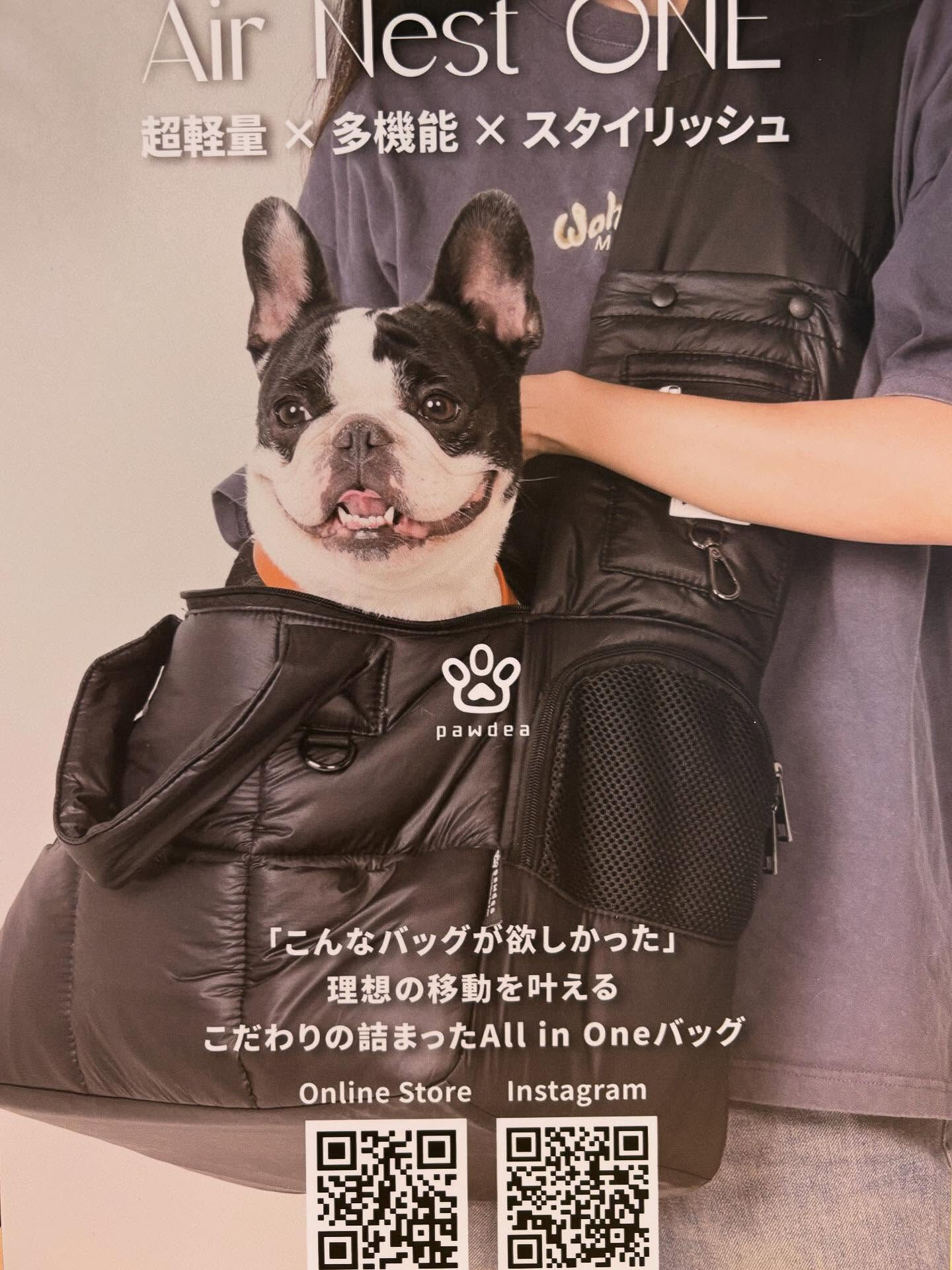 新しい商品が入荷しました✨ | ブログ | 東京都目黒のトリミングなら