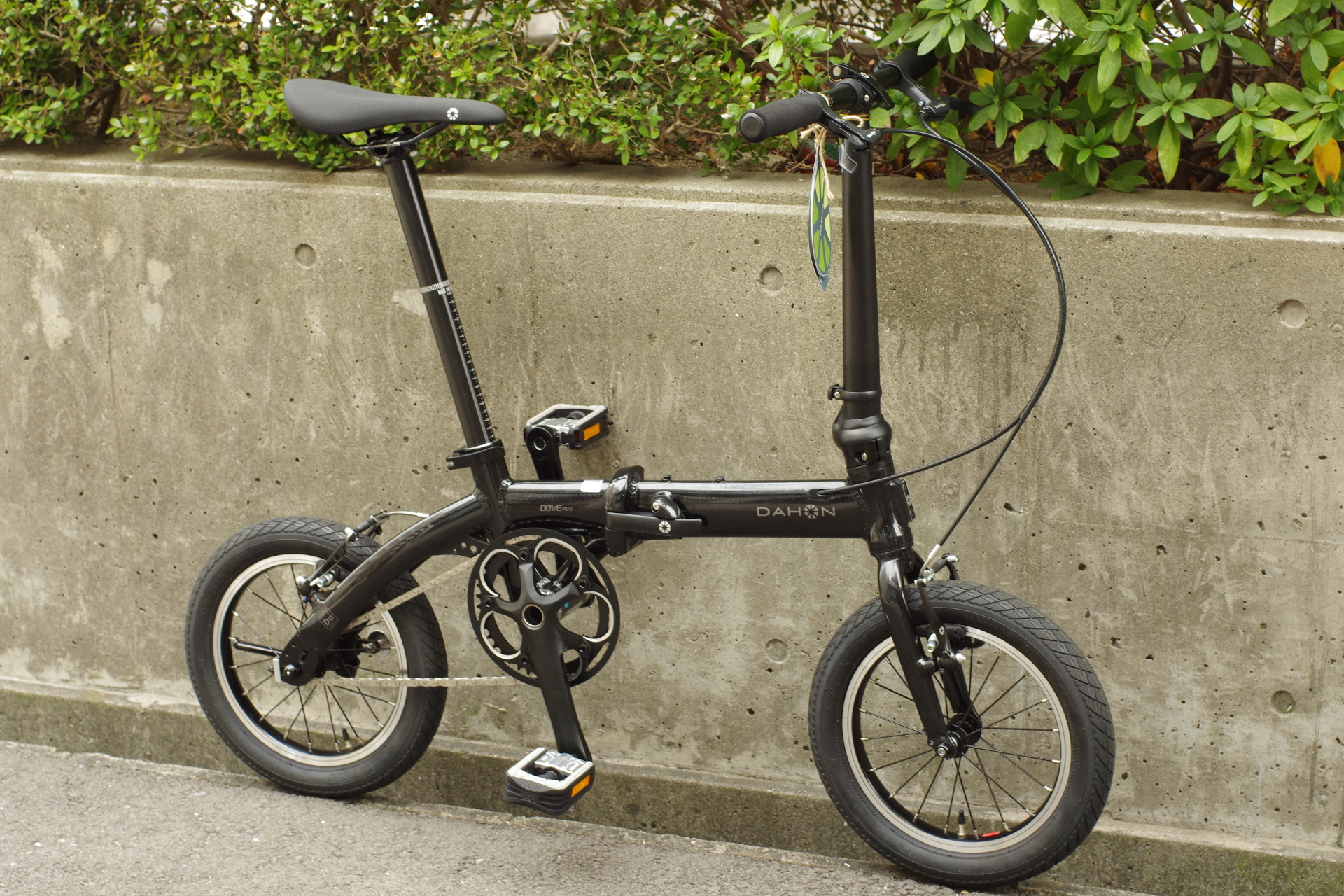 DAHON DOVE PLUS 2023 限定モデル 純正バック付き 2023 DAHON Dove