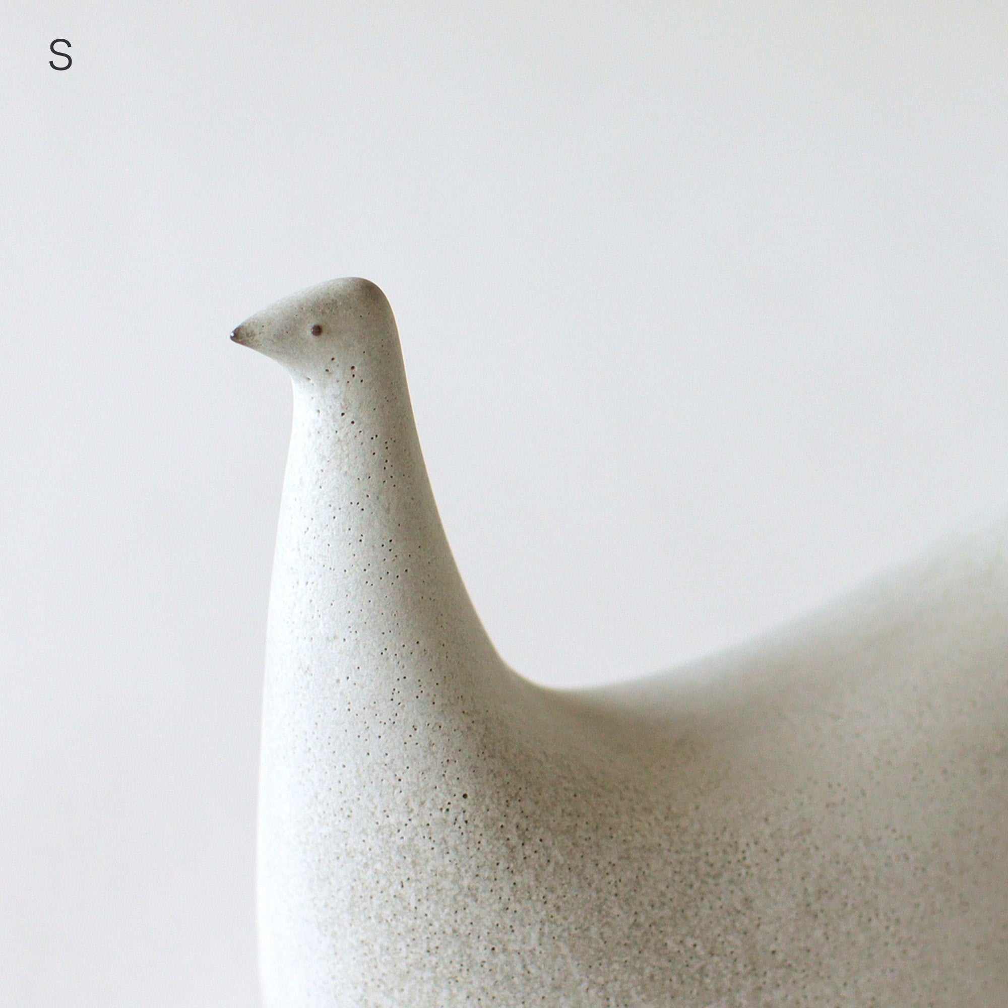 PEACOCK / グレー – BIRDS' WORDS