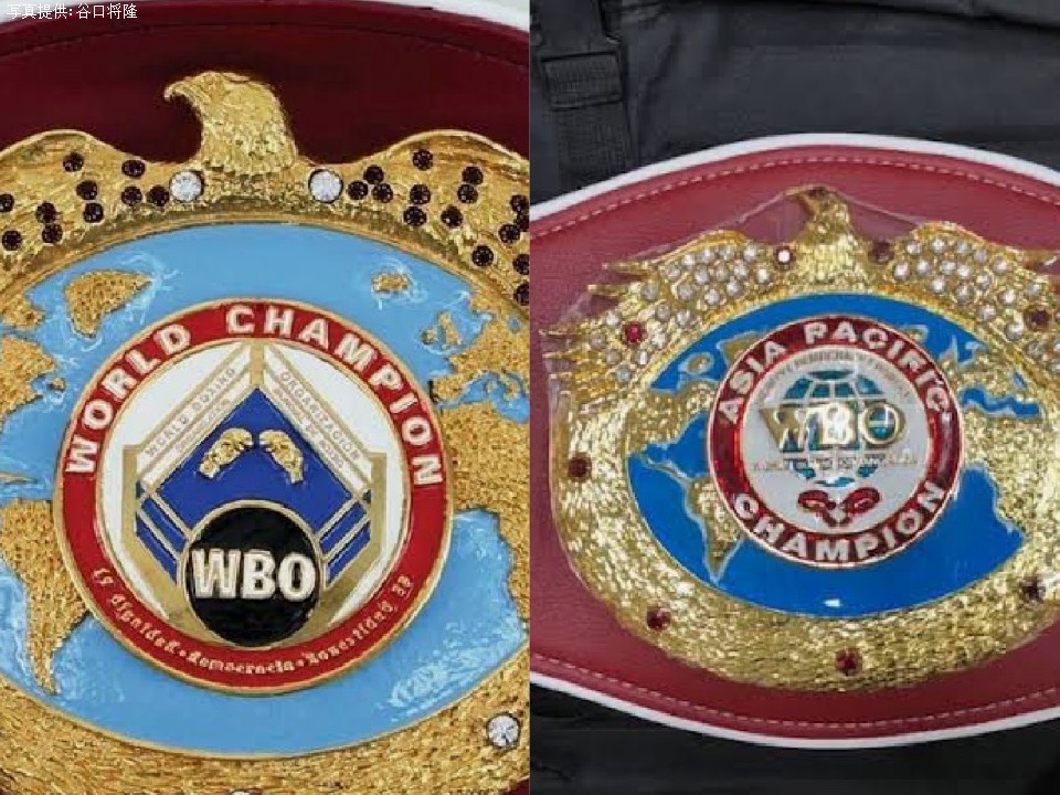 WBO 世界チャンピオンベルト Jボクシングベルト世界選手権レプリカ