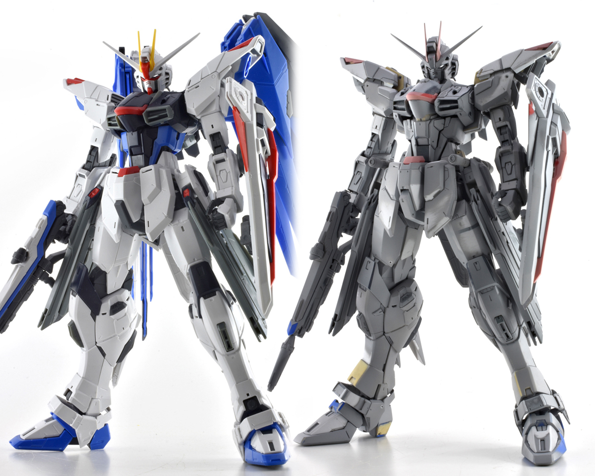 MG フリーダムガンダム Ver.2.0 ザフト型モビルスーツ MG 1/100