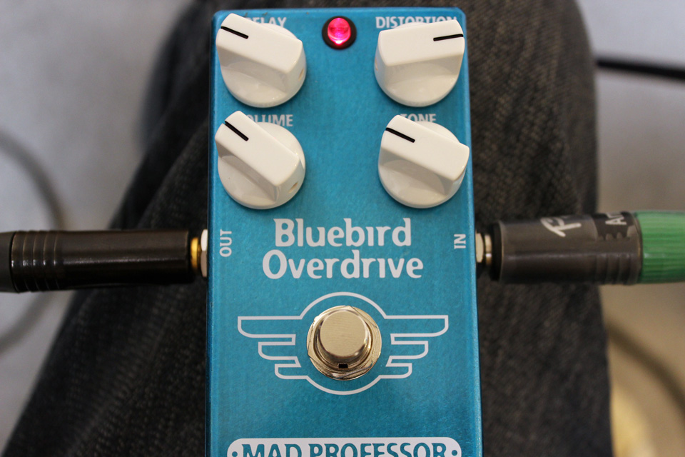 Mad Professor 『Bluebird Over Drive Delay』: Archive（アーカイブ