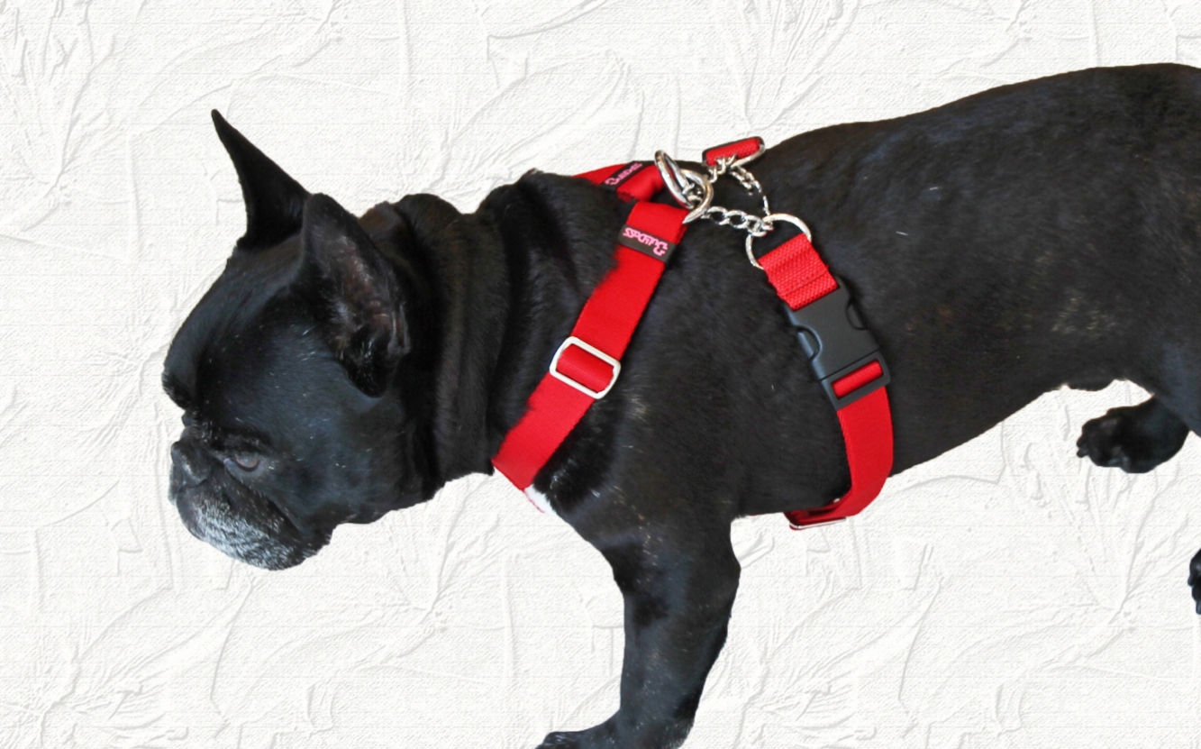 チョークハーネス Mサイズ of フレンチブルドッグ服 ハーネス 首輪