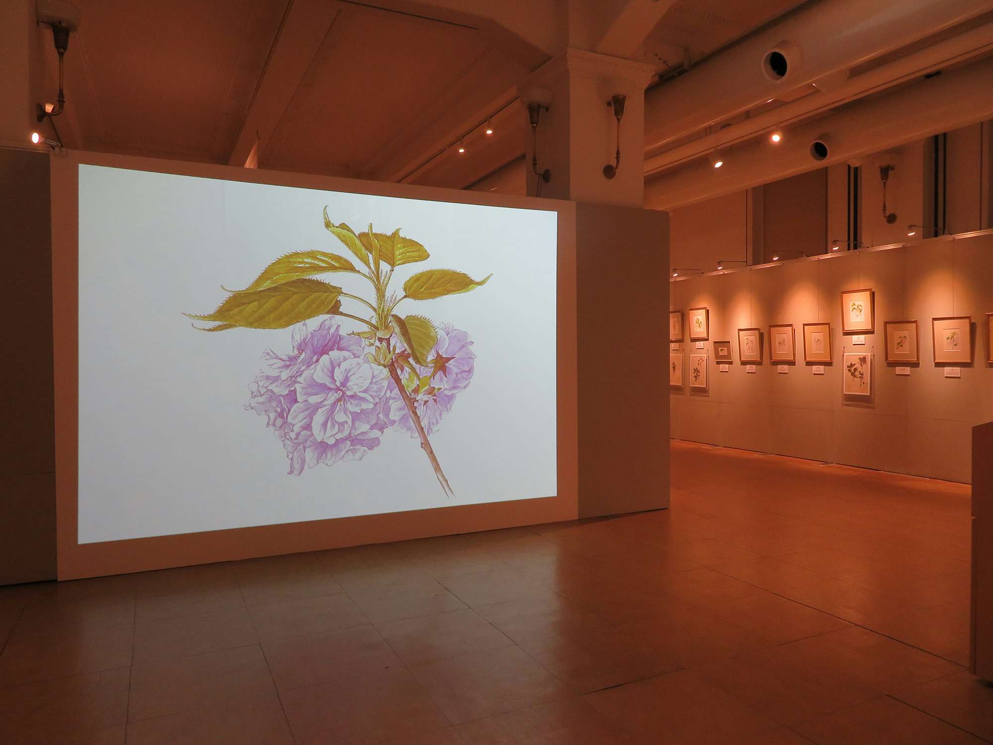 1586770354274_a929d0b1c6c7b7ca