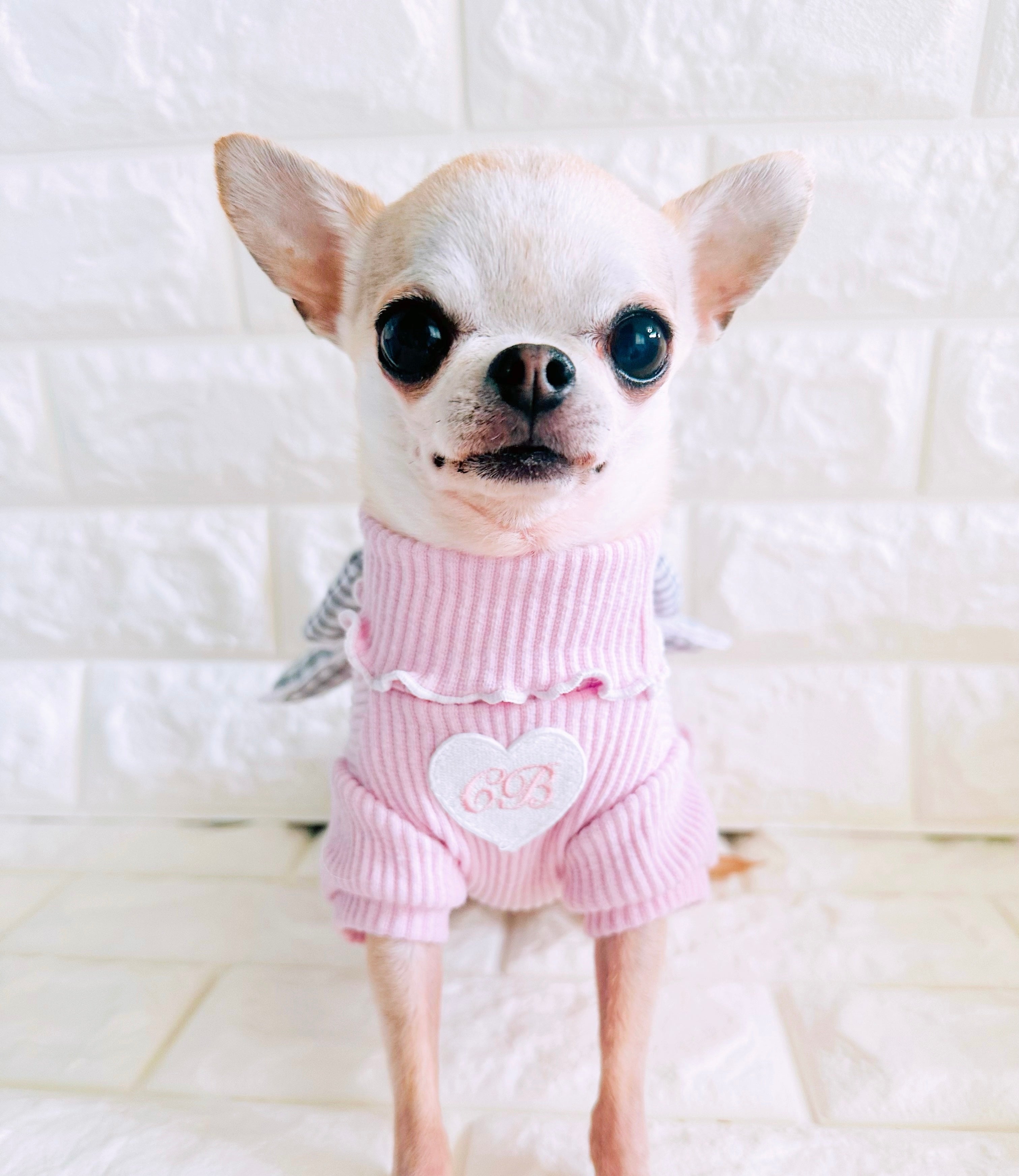 Fashion-Dollワンピ – Candy Buppie Online