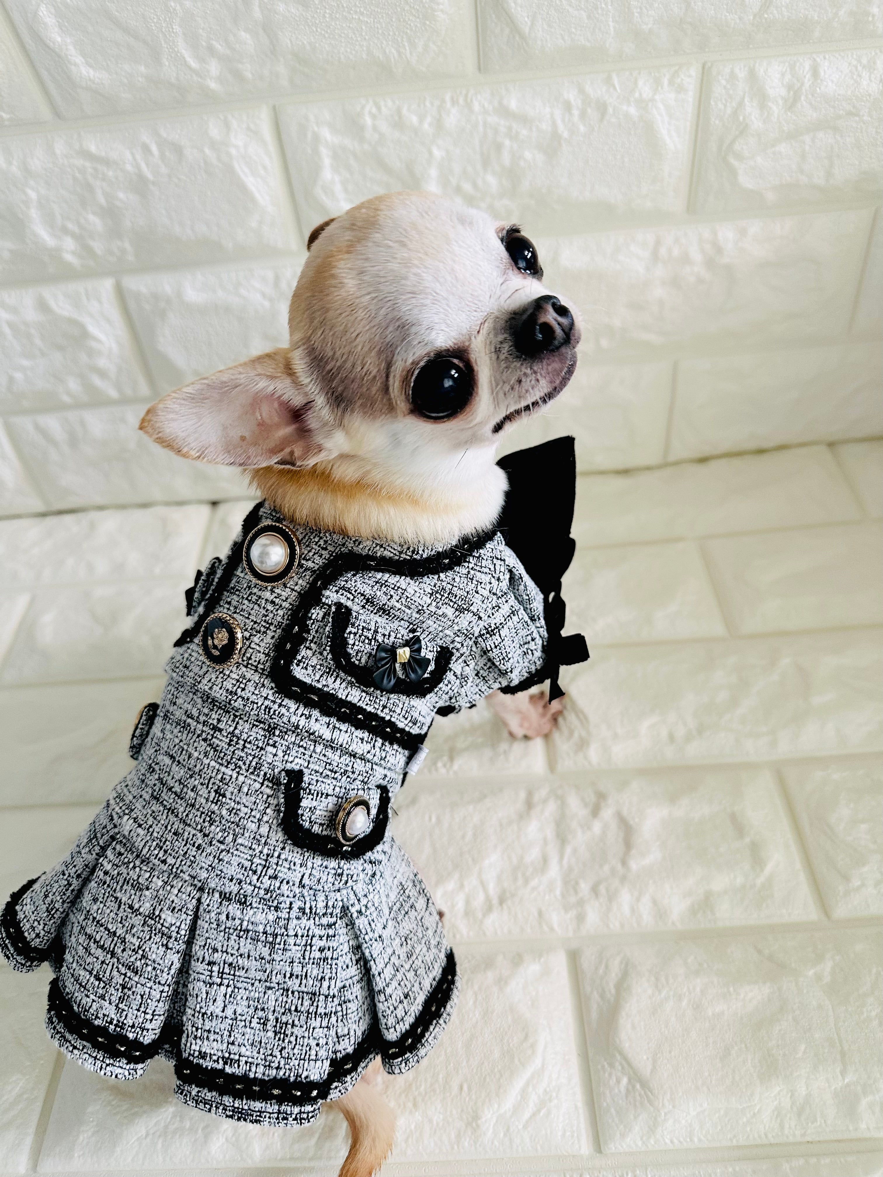 MaisonClassicワンピース – Candy Buppie Online