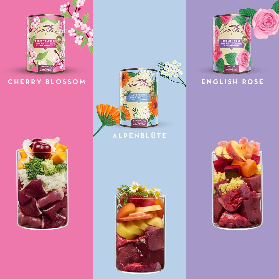 テラカニス フラワーギフトボックス3缶セット【即日配送】 – イヌと