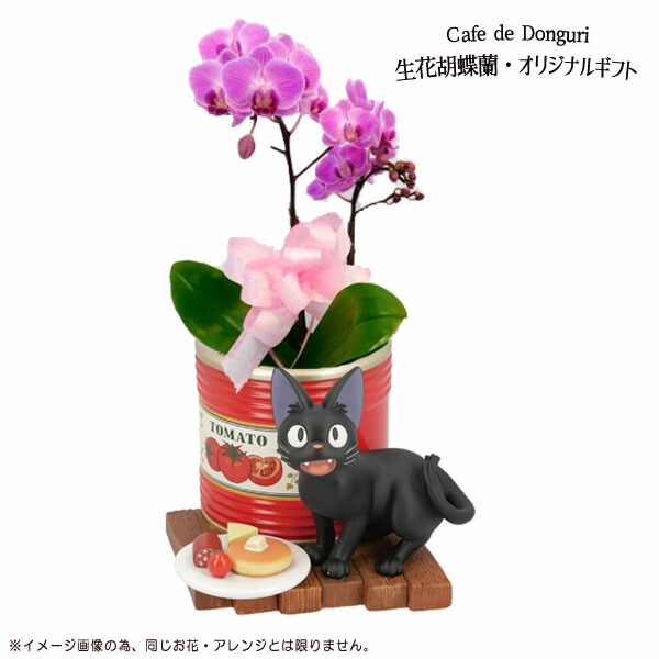 魔女の宅急便 ジジプランター 未使用