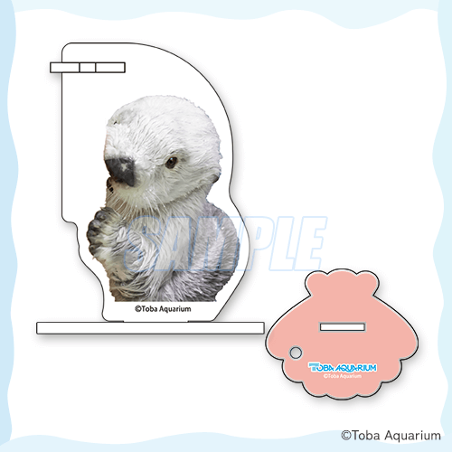 カプくじ×鳥羽水族館 ラッコのメイちゃんくじ リターンズ！ | カプくじ