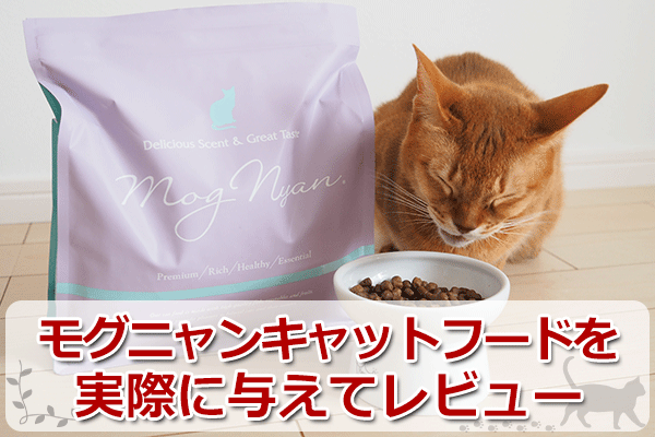 猫キャットフード「モグニャン」の口コミ評判評価まとめ【もぐにゃん