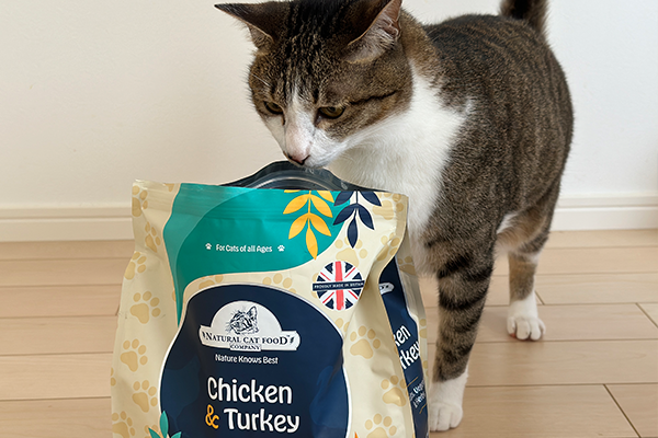 アランズナチュラルキャットフードを愛猫に与えてレビュー！口コミ