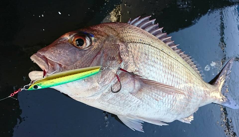 GG』-001 グレングラッサゼロゼロワン シークレット シク 4枚 4枚 「GG