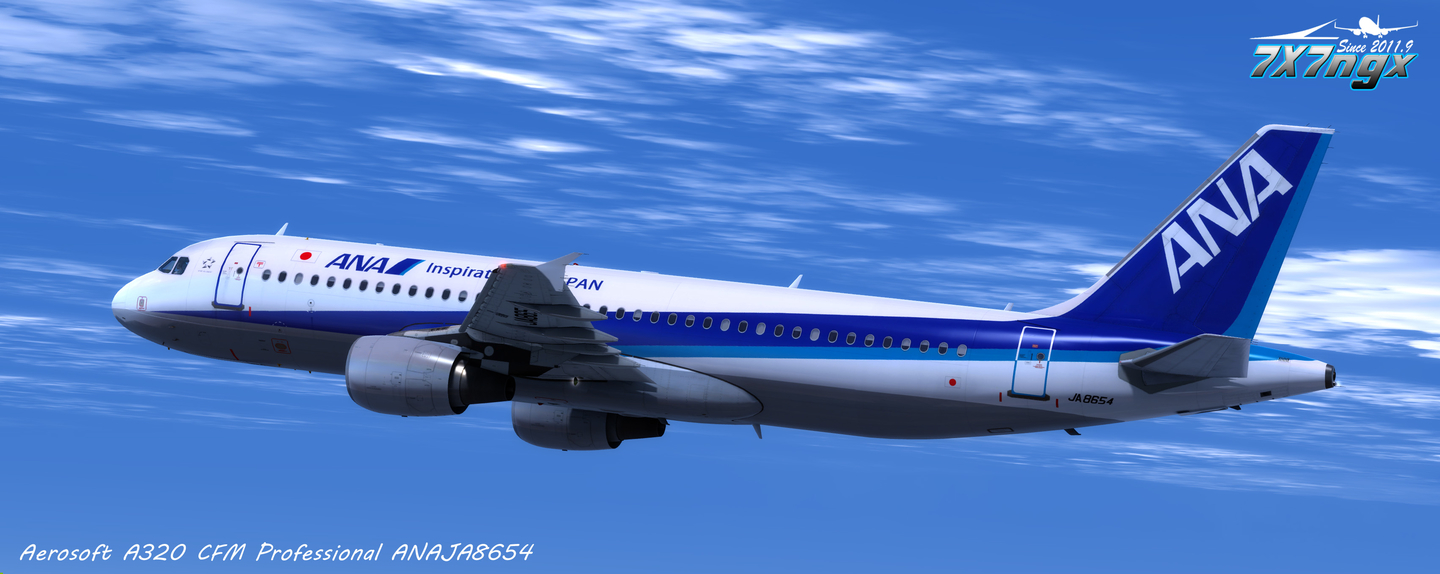 アシアナ航空 Aviationtagt A321-100 スターアライアンスロゴ アシアナ